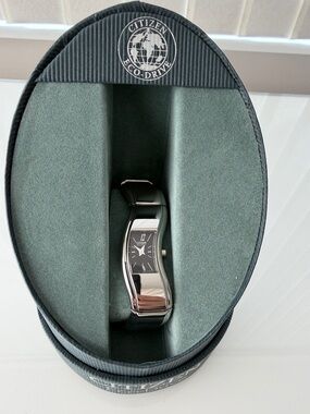 Citizen Eco-Drive Women's Silver Curved Bangle Watch